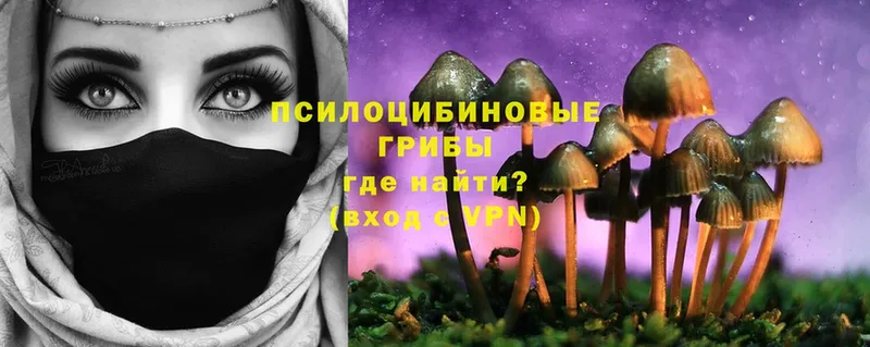 Галлюциногенные грибы Magic Shrooms  Малоархангельск 